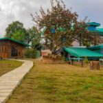 Mukteshwar Hidden Gem Why Dharohar Retreat is Perfect for a Weekend Getaway 